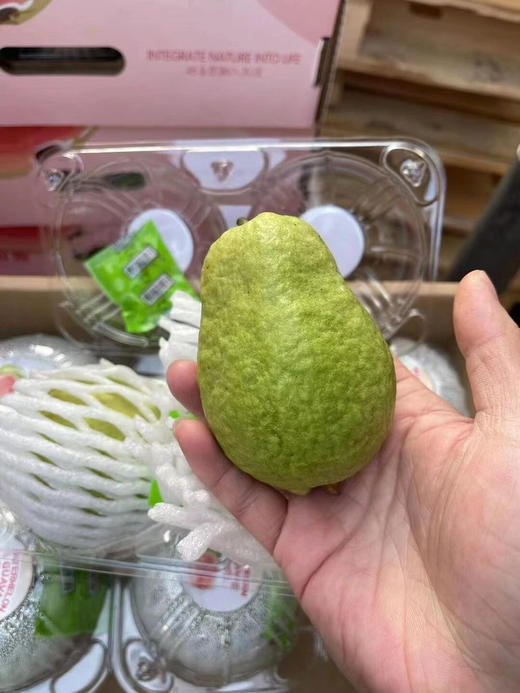 树熟红心芭乐，低糖水果（有大小果，匀属于正常） 商品图3