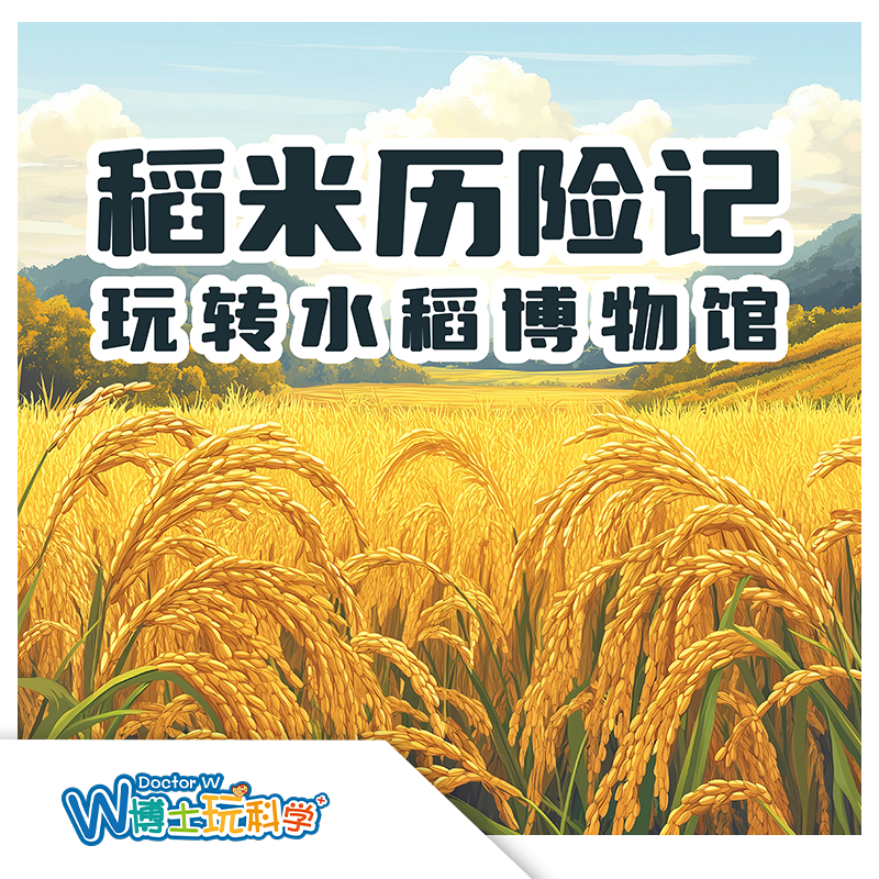 W博士玩科学｜【玩转博物馆-稻米历险记】