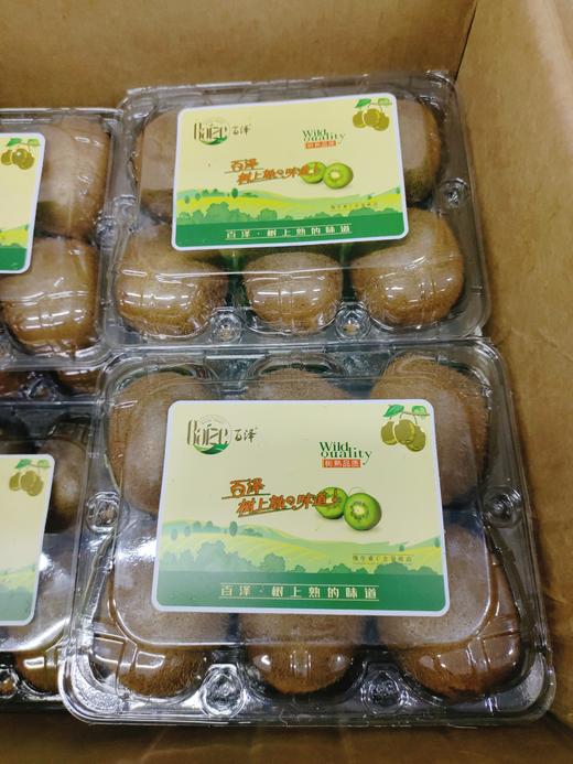 百泽奇异果2盒 商品图0