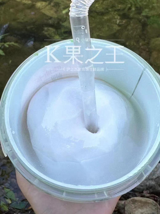 哇迪卡椰子蛋 喝完直接啃椰肉，一椰两吃，无防腐剂 商品图0