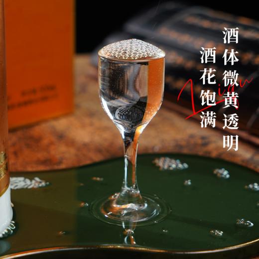 一价到底 【贵州印象】酒体醇厚，口感柔和，茅台工艺酿造，品味非凡酱香 商品图3