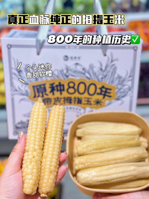 拇指小玉米，来自美丽的西双版纳，很糯很香。独立真空包装 商品图7