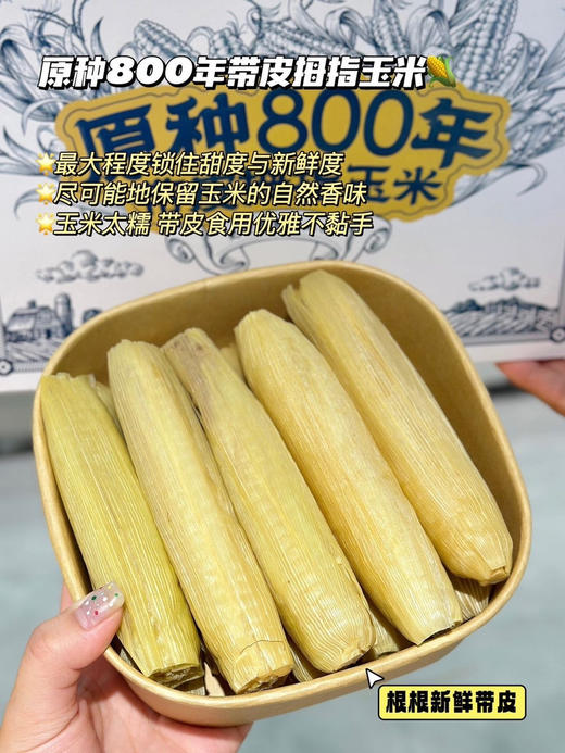 拇指小玉米，来自美丽的西双版纳，很糯很香。独立真空包装 商品图3
