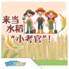 W博士玩科学｜【研学课程-来当水稻小考官】 商品缩略图0