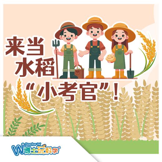 W博士玩科学｜【研学课程-来当水稻小考官】 商品图0