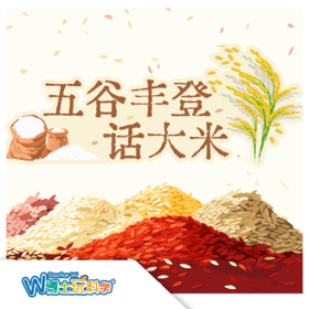 W博士玩科学｜【研学课程-五谷丰登话大米】