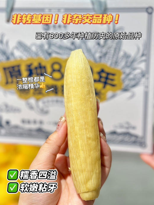 拇指小玉米，来自美丽的西双版纳，很糯很香。独立真空包装 商品图4