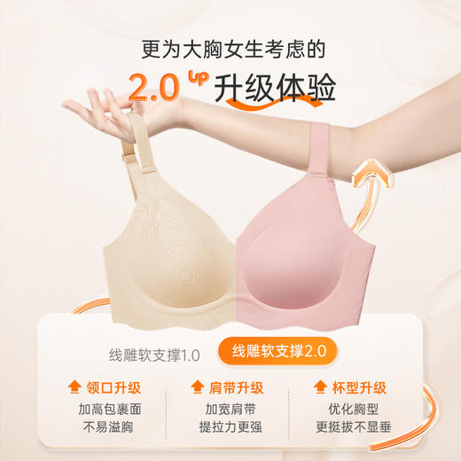 【积分兑换】线雕2.0胸大显小提拉聚拢防下垂文胸女无钢圈胸罩 商品图1
