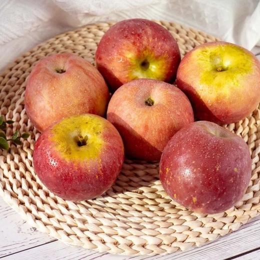 【云南昭通丑苹果】香脆可口 清甜脆爽 果香浓郁 酸甜适中 细滑多汁  4种规格任选 商品图6