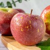【云南昭通丑苹果】香脆可口 清甜脆爽 果香浓郁 酸甜适中 细滑多汁  4种规格任选 商品缩略图0