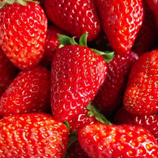 草莓多多 商品图1
