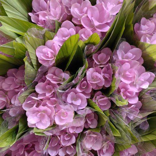 夏日精选花材姜荷花【有邮费】 商品图13