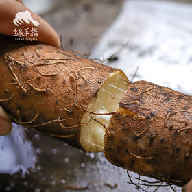 生态淮山药 | 绿家自产*Eco-yam | Self-production