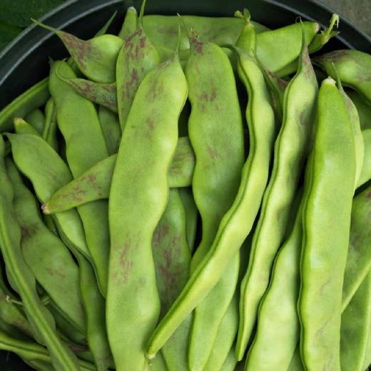 东北油豆角350g 작두당콩350g 商品图2