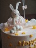 「小兔子·萌萌兔公主」岁数可改·周岁生肖·翻糖巧克力·100%动物奶油（附图5寸超高·提前7天预订） 商品缩略图2