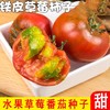 东北草莓柿子500g 동북딸기토마토500g 商品缩略图0