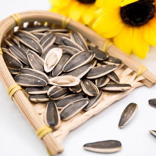 鹦鹉世家瓜子（原味）500g 商品图1