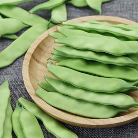 东北油豆角350g 작두당콩350g