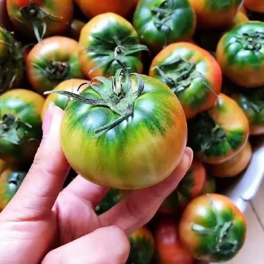 东北草莓柿子500g 동북딸기토마토500g 商品图3