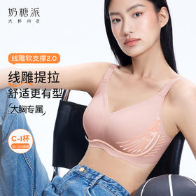 【积分兑换】线雕2.0胸大显小提拉聚拢防下垂文胸女无钢圈胸罩