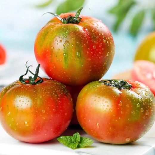 东北草莓柿子500g 동북딸기토마토500g 商品图2