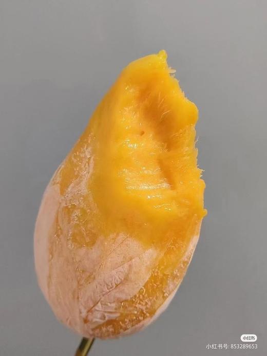 芒果雪糕3个 商品图2