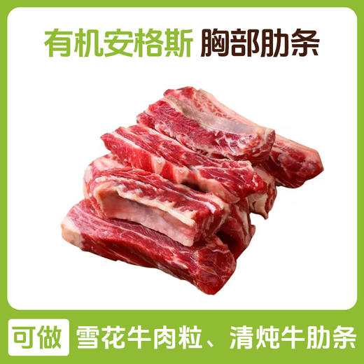 有机安格斯鲜牛肉5斤 商品图2