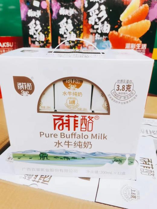 百菲酪水牛奶6提（拿货价） 商品图0