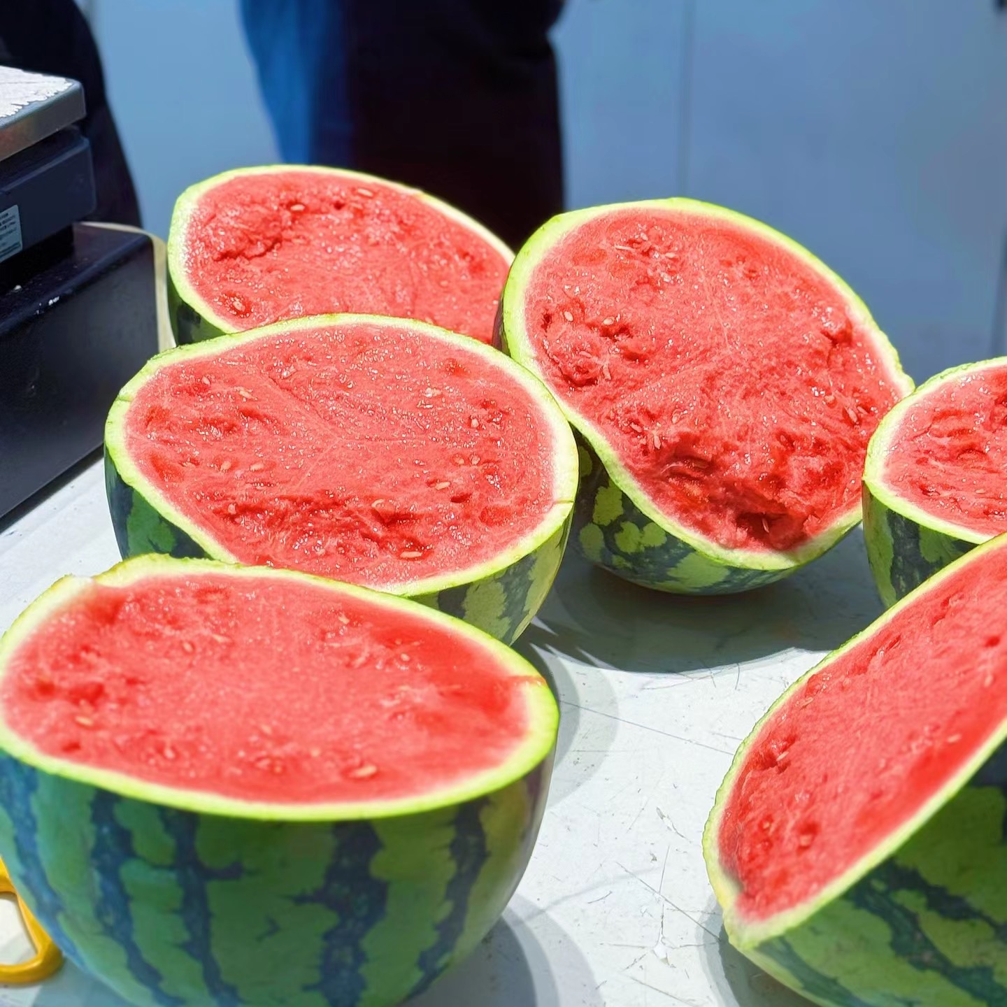 海南麒麟瓜 西瓜 高端西瓜 这个是优中优 除了贵没毛病