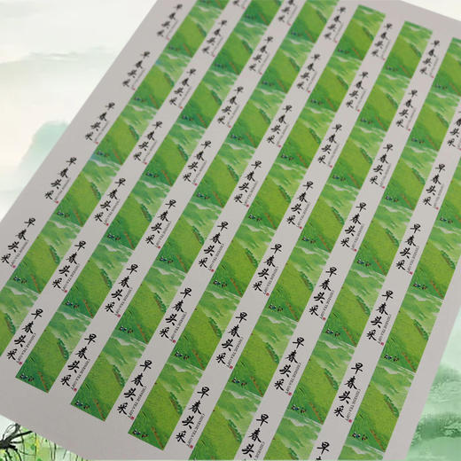 不干胶【早春头采】6元1张.需购满40张包邮 商品图2