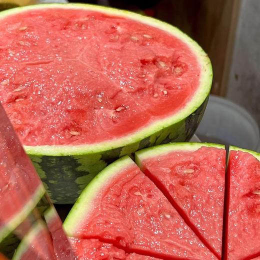 海南麒麟瓜 西瓜 高端西瓜 这个是优中优 除了贵没毛病 商品图12