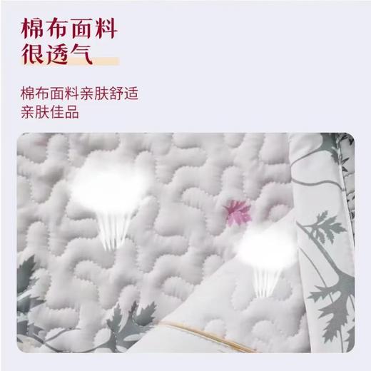 艾绒床垫 艾绒被芯，不含被套 规格任选 商品图4