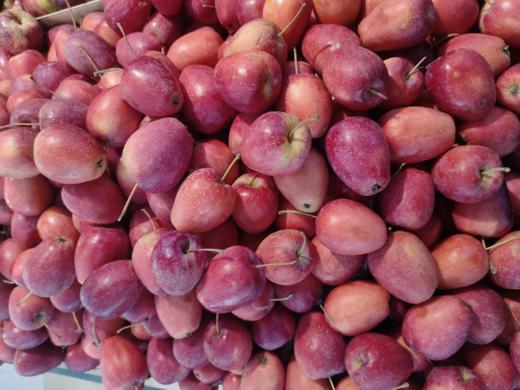 大众鸡心果2斤 商品图0