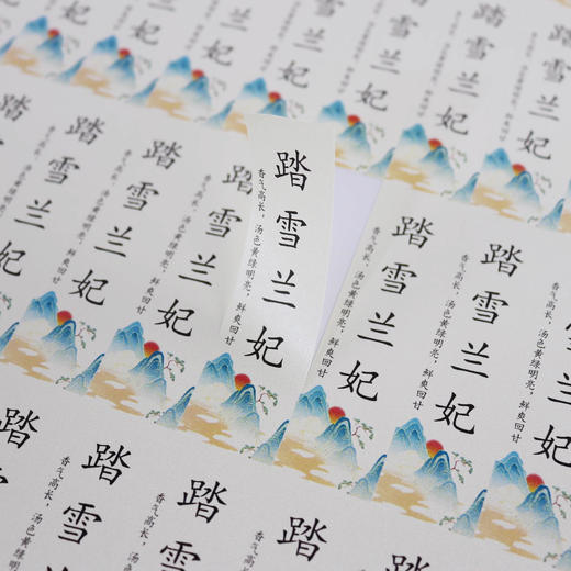 不干胶【踏雪兰妃】6元1张.需购满30张包邮 商品图1