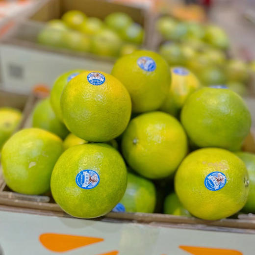 【优级】实建褚橙优级5kg/件 商品图1