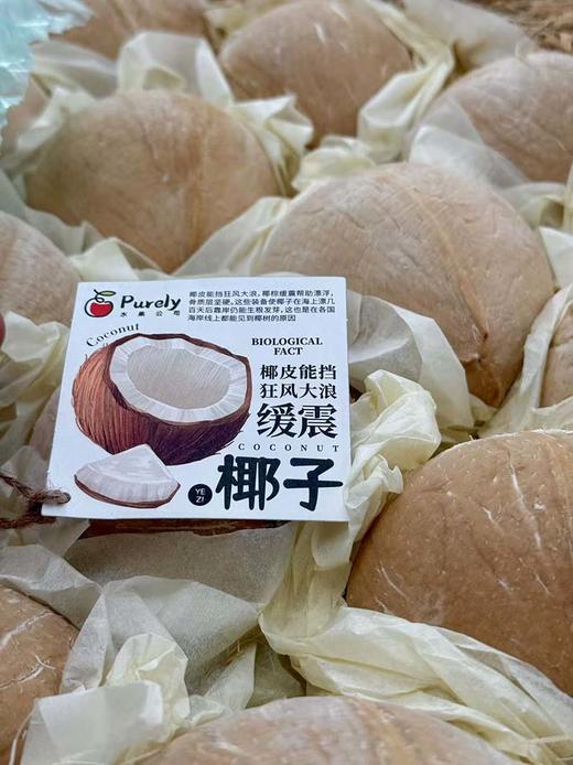 泰国进口 「香水牛奶椰皇」48#Mini小果 1粒 商品图9