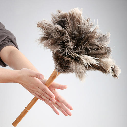 【多样屋专柜】多样屋鸡毛掸子除尘家用扫灰静电家务床刷子打扫清理床上 商品图3