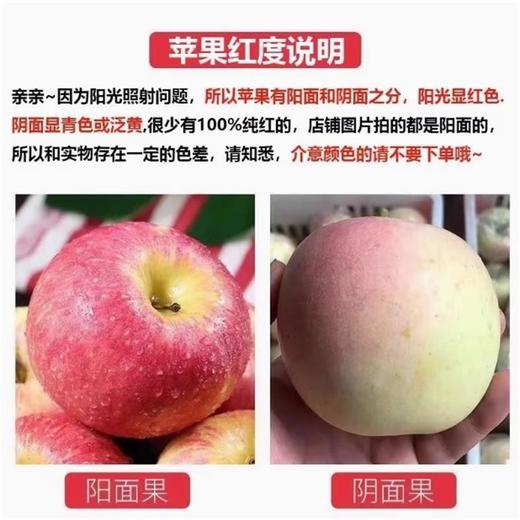 【19.9到手3斤！陕西红富士】新鲜采摘，原生态种植，不催熟打蜡，享受脆甜好滋味，早期青色泛黄，当季应季苹果红富士苹果L 商品图3