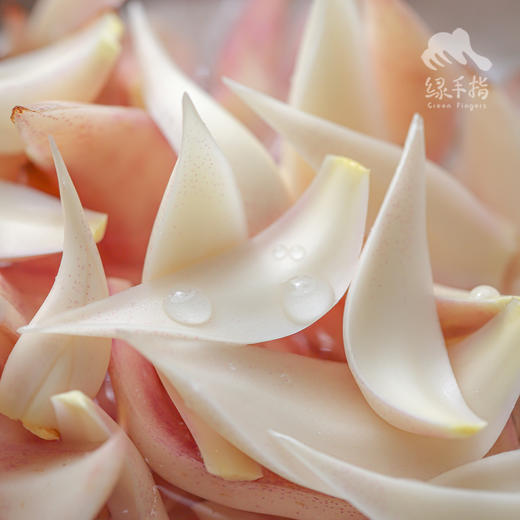 野生鲜百合（广东）  | 合作生产 *Wild fresh lily | Partner Production 商品图3