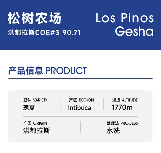 松树农场 水洗｜橙花香  抹茶 蜂蜜甜 商品图1