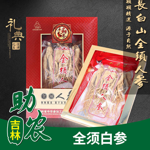 【吉林】全须白参 商品图0