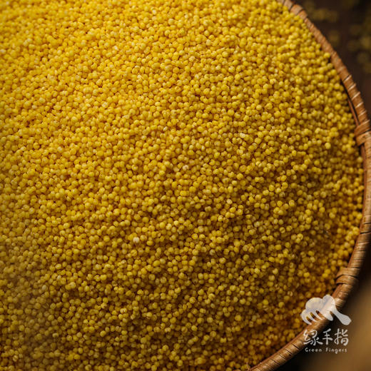 有机小米 | 合作生产 * Organic Millet | Partner Production 商品图1