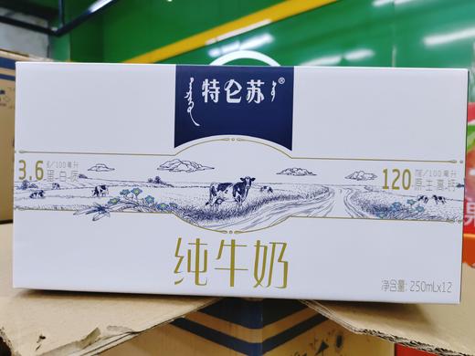 特仑苏牛奶一箱 商品图1