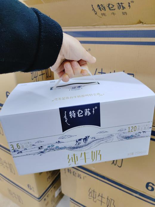特仑苏牛奶一箱 商品图0