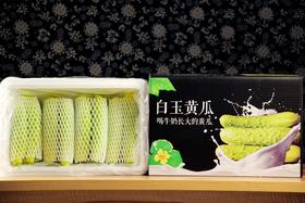 严选|山东特产白玉奶油黄瓜|采用豆杆豆粕生态种植|好吃有营养