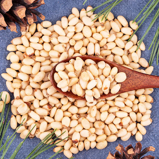 塔哈尔河野生偃松仁125g 商品图1