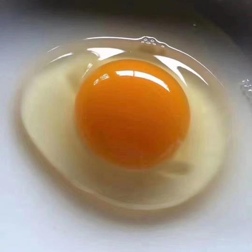 【严选】 绿无忧黑羽土鸡蛋30枚装/40枚装    （厂家直发） 商品图2