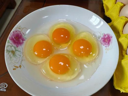 【严选】 绿无忧黑羽土鸡蛋30枚装/40枚装    （厂家直发） 商品图1