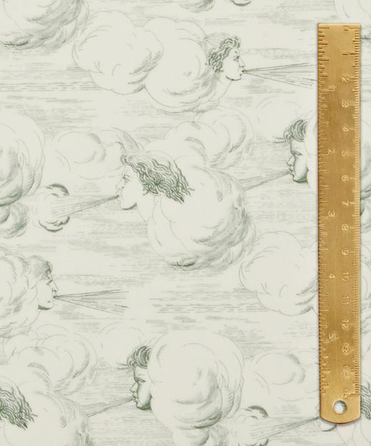 LT180C 西风之神 Zephyr  季节款  269/M 邮费到付 商品图4