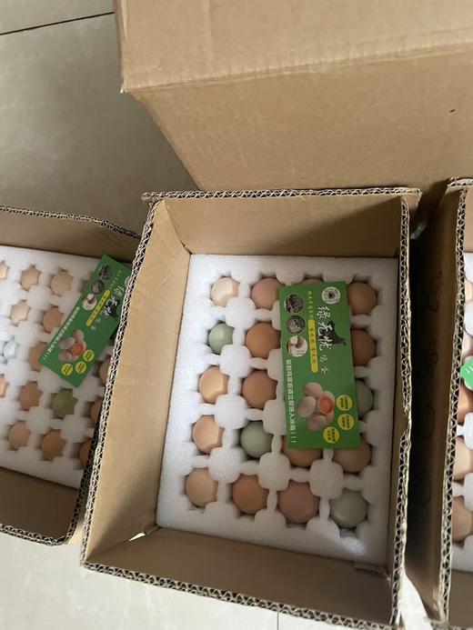【严选】 绿无忧黑羽土鸡蛋30枚装/40枚装    （厂家直发） 商品图4